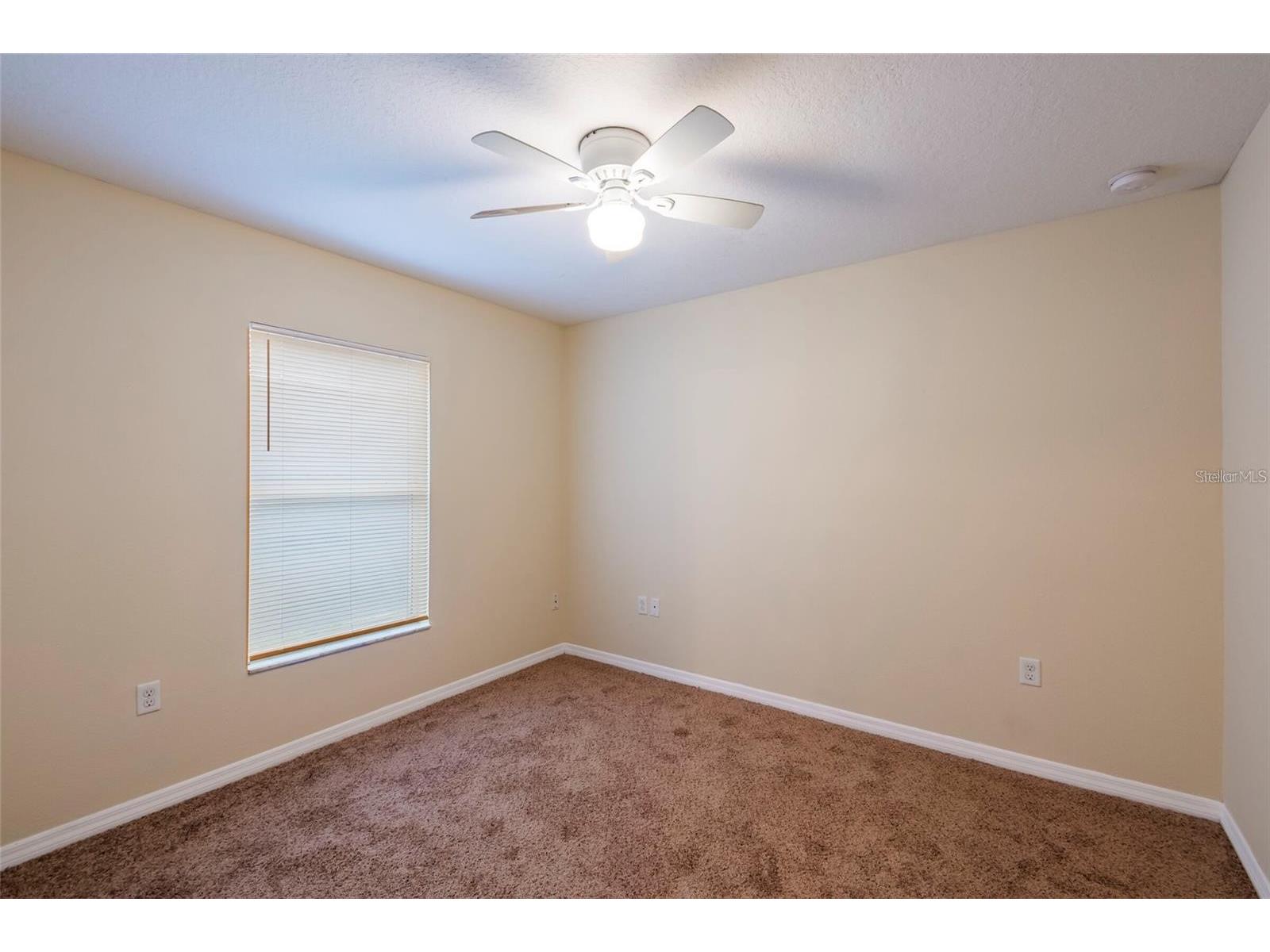 8117 Alamosa Wood Avenue Ruskin FL 33573 TB8495193 image12