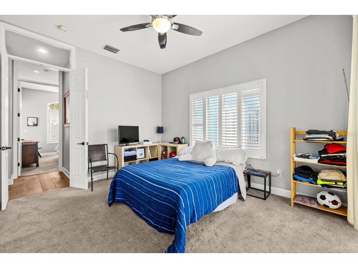 8117 Brighton Drive Port Richey FL 34668 TB8483187 image42