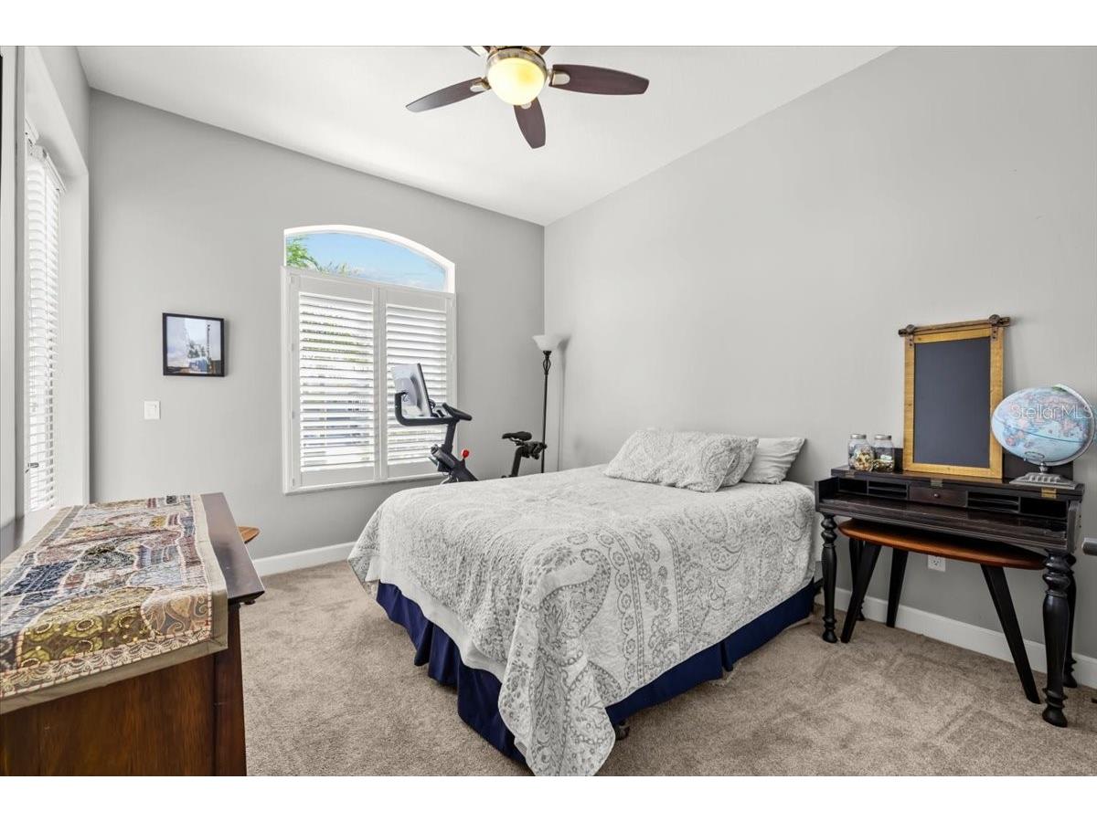 8117 Brighton Drive Port Richey FL 34668 TB8483187 image44