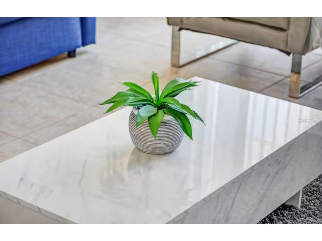 8117 Princess Palm Kissimmee FL 34747 O6381255 image15