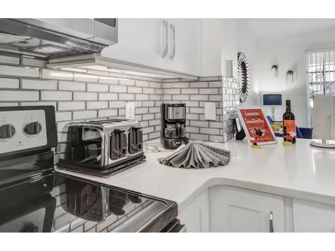 8117 Princess Palm Kissimmee FL 34747 O6381255 image8