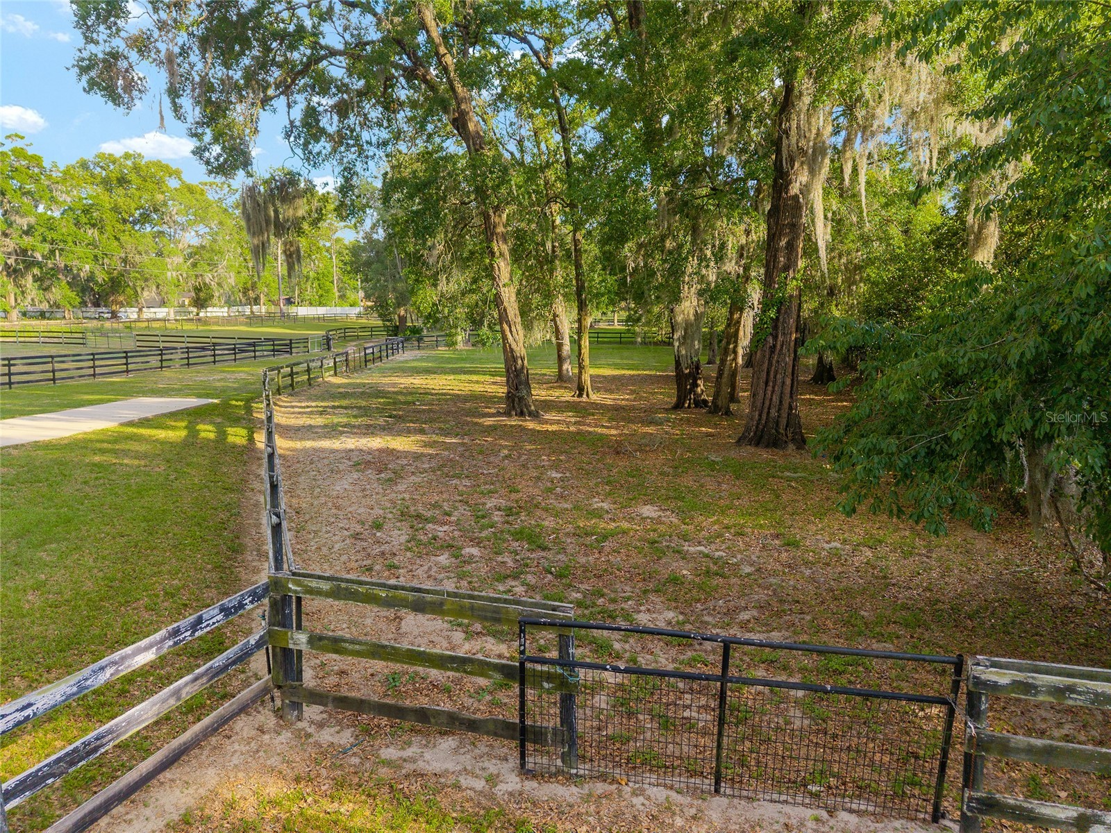 8117 SW 41st Place Road Ocala FL 34481 O6399699 image13