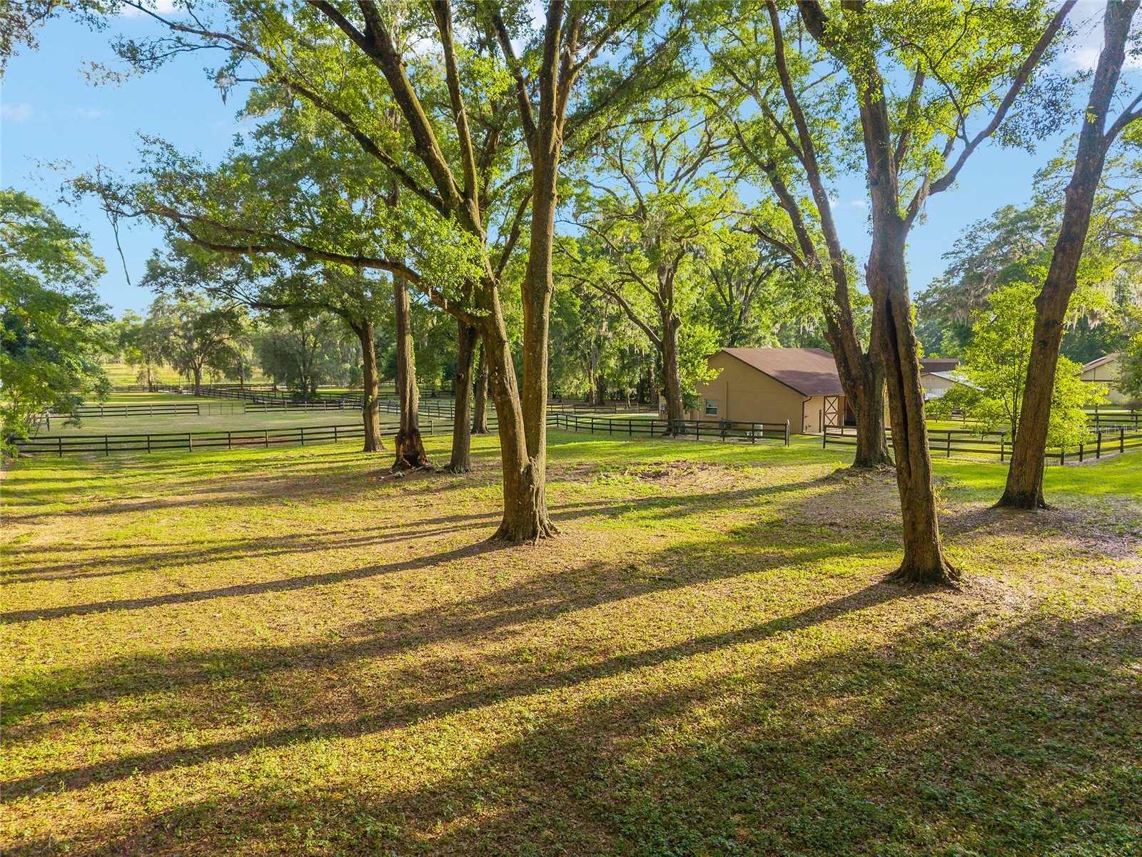 8117 SW 41st Place Road Ocala FL 34481 O6399699 image15