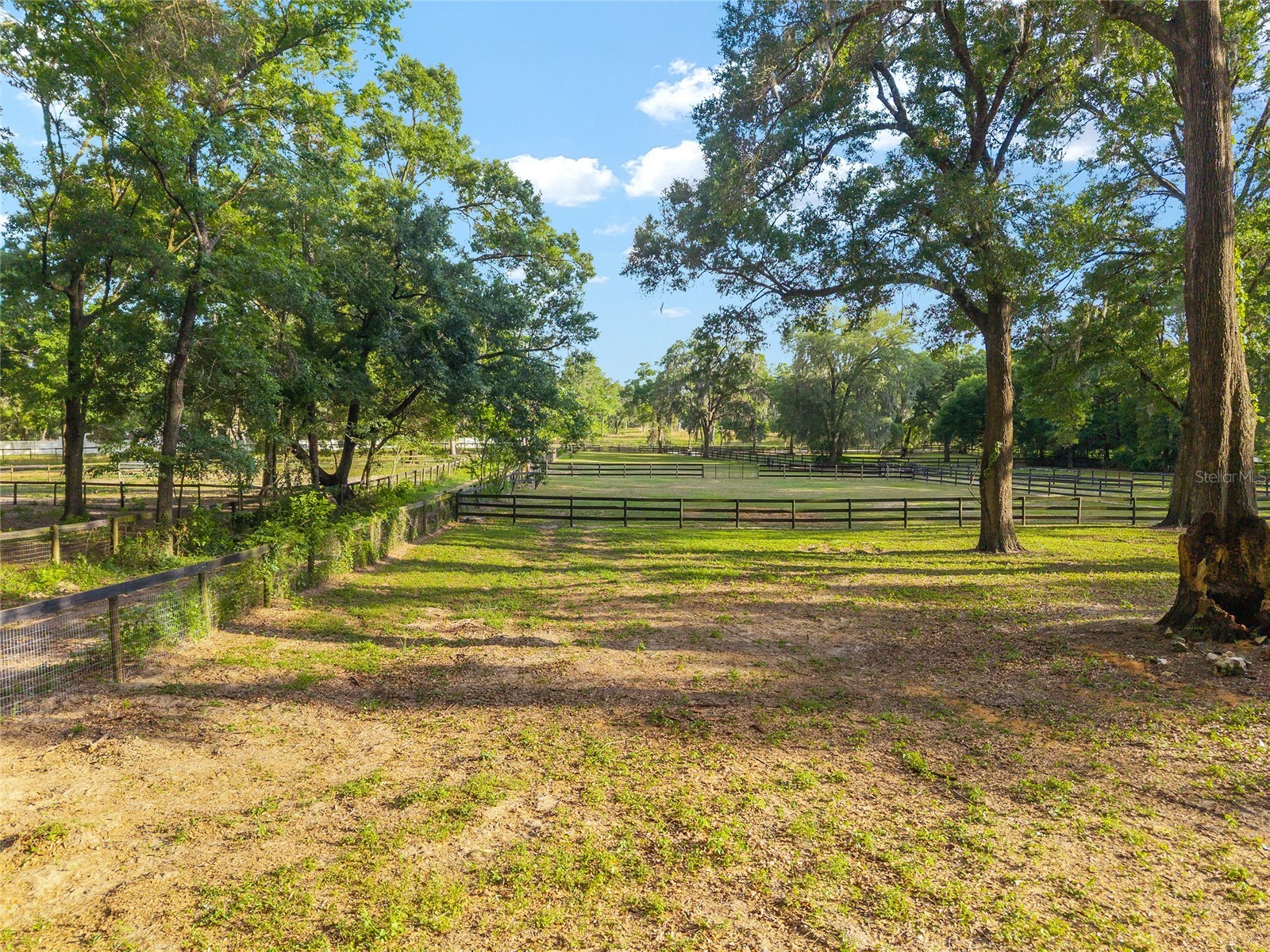 8117 SW 41st Place Road Ocala FL 34481 O6399699 image16