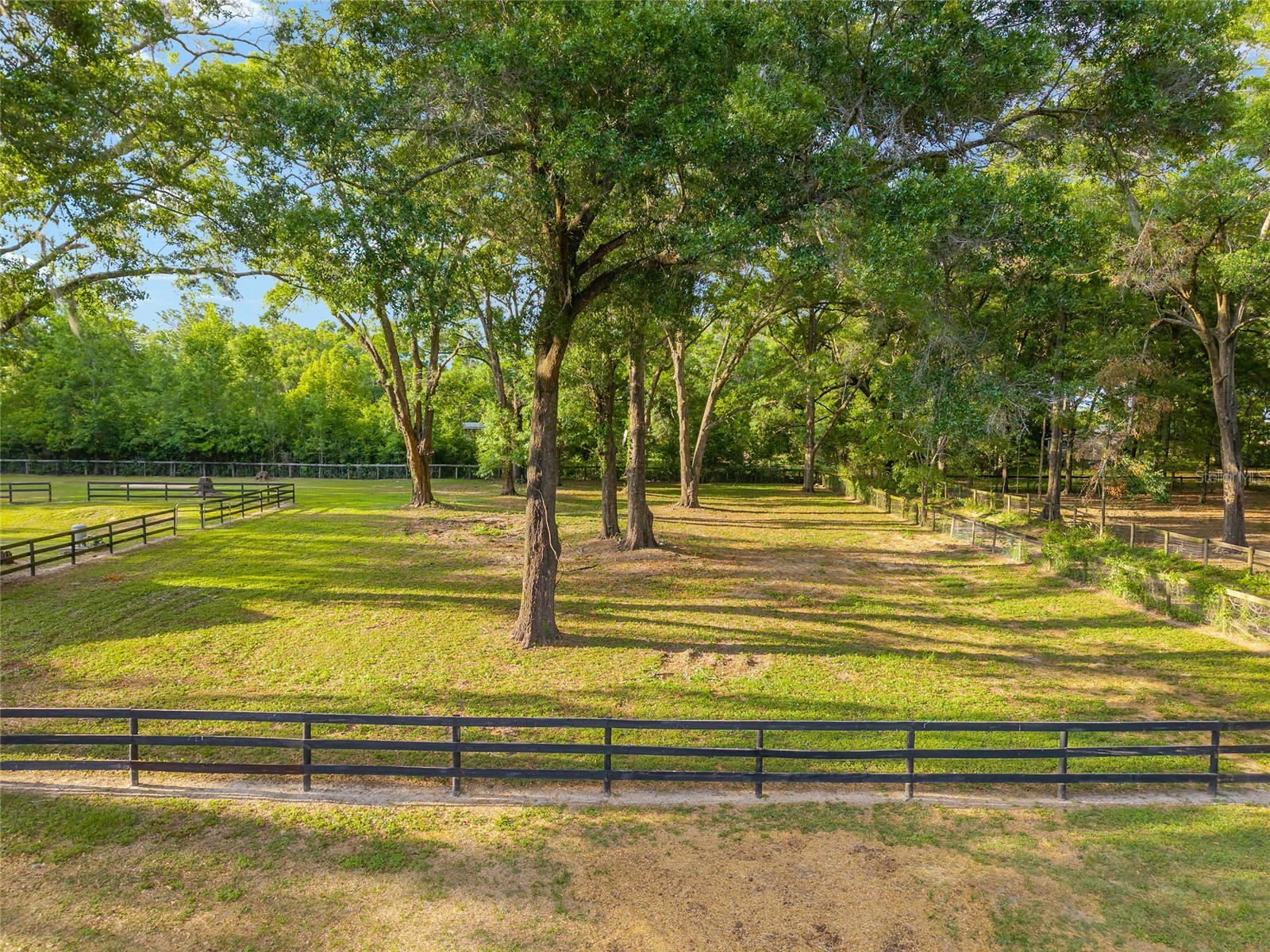 8117 SW 41st Place Road Ocala FL 34481 O6399699 image18