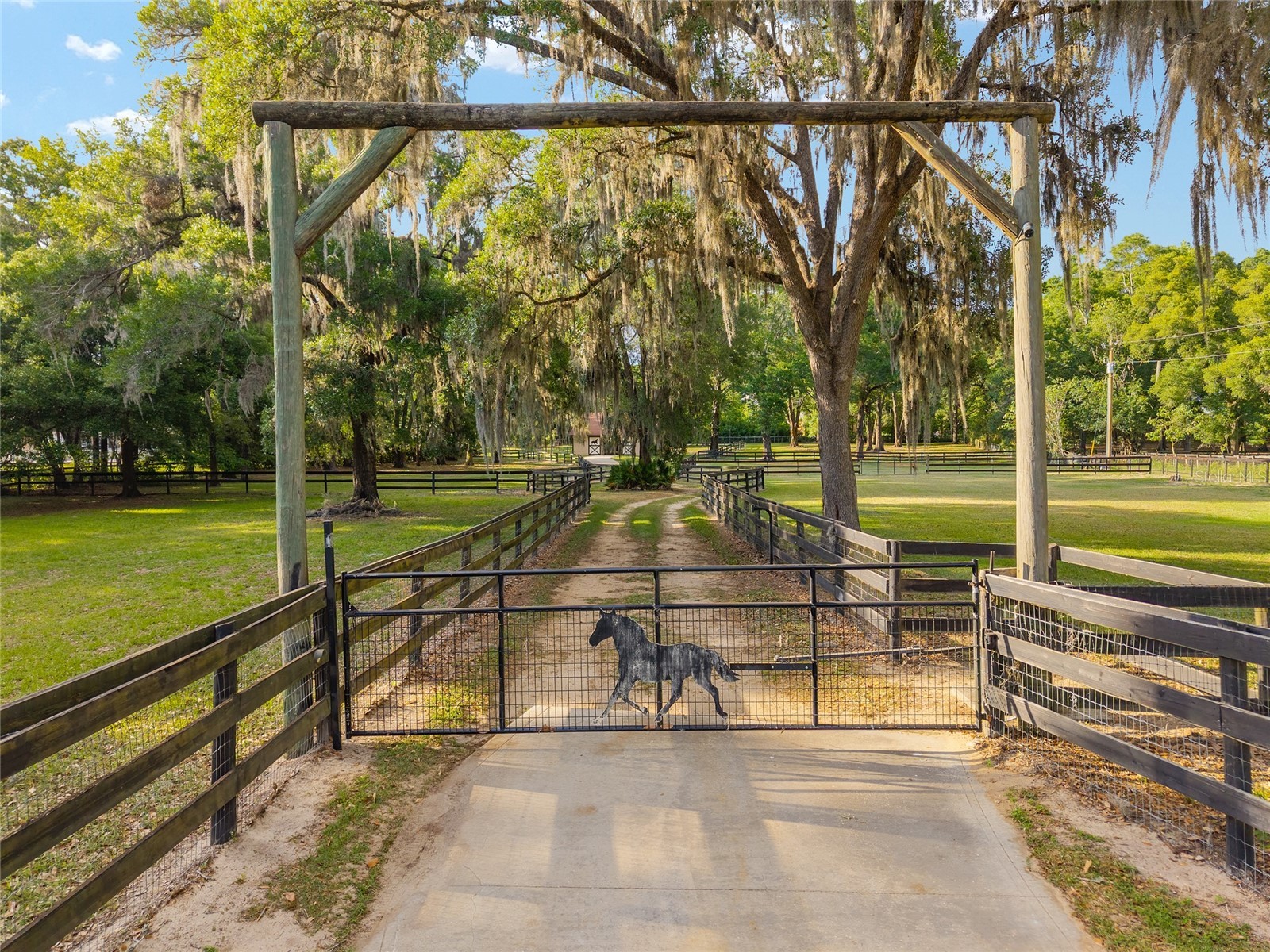 8117 SW 41st Place Road Ocala FL 34481 O6399699 image3