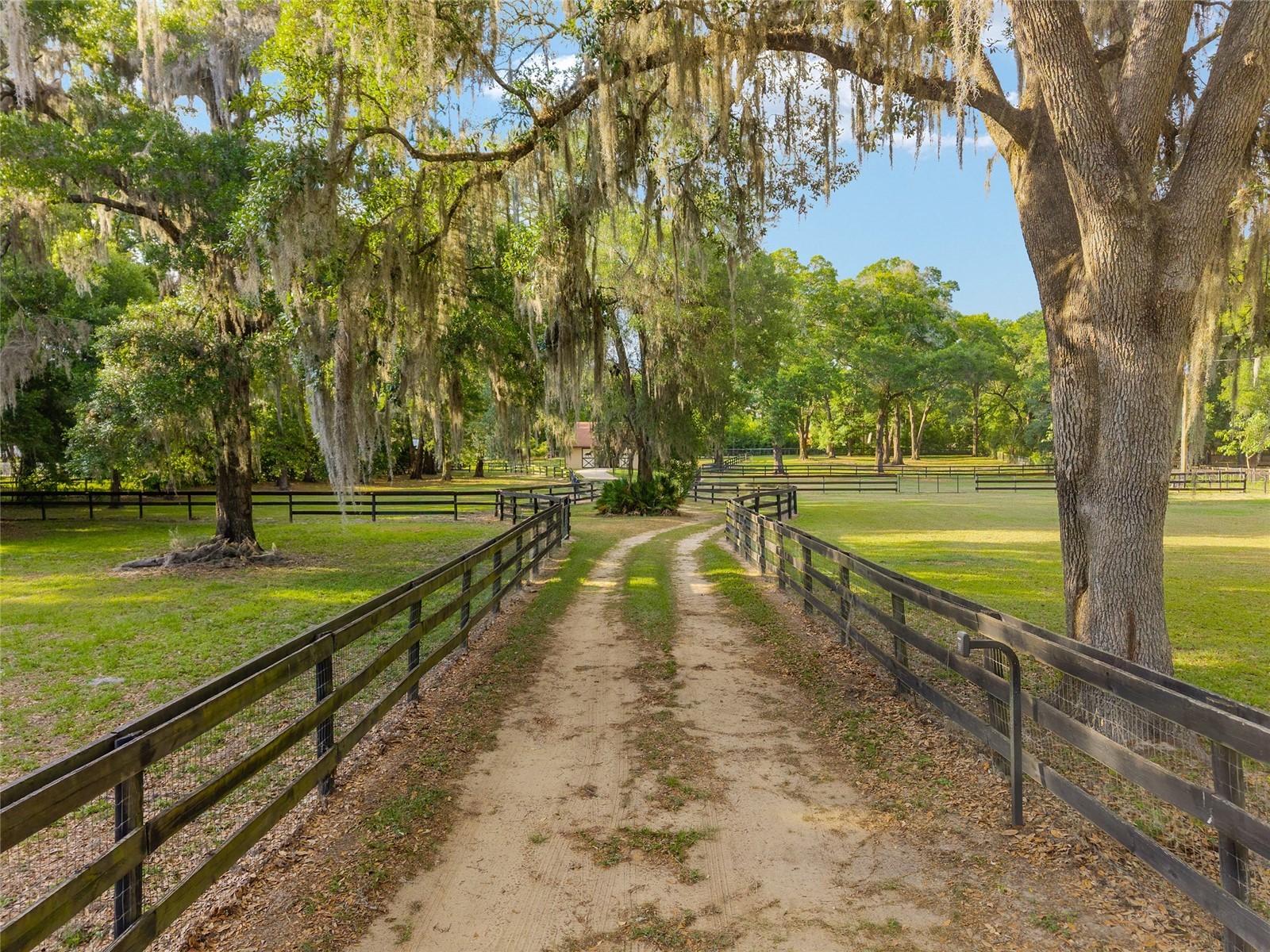 8117 SW 41st Place Road Ocala FL 34481 O6399699 image4