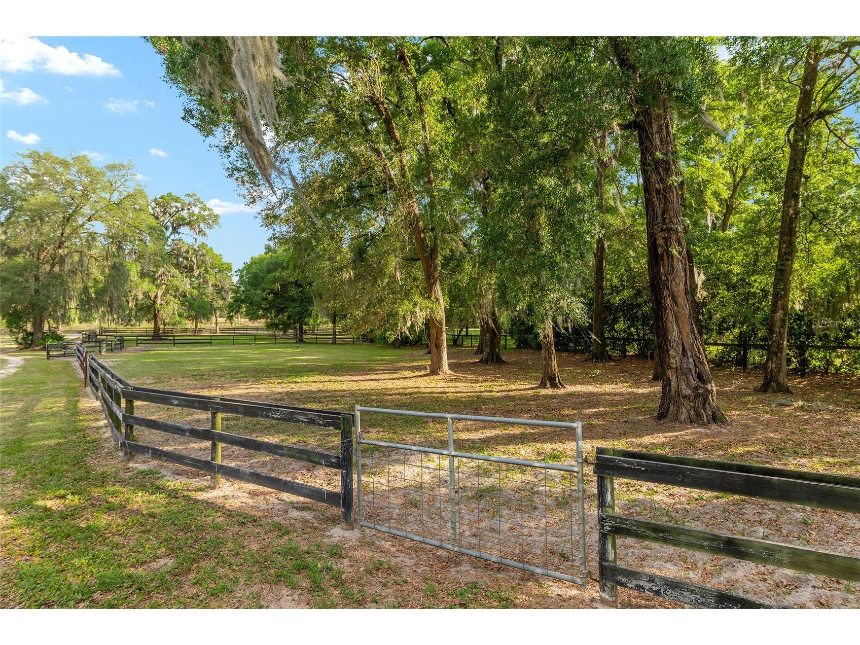 8117 SW 41st Place Road Ocala FL 34481 O6399699 image53