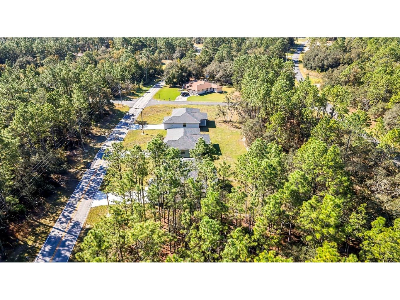 8118 N Santos Drive Citrus Springs FL 34434 TB8317153 image54