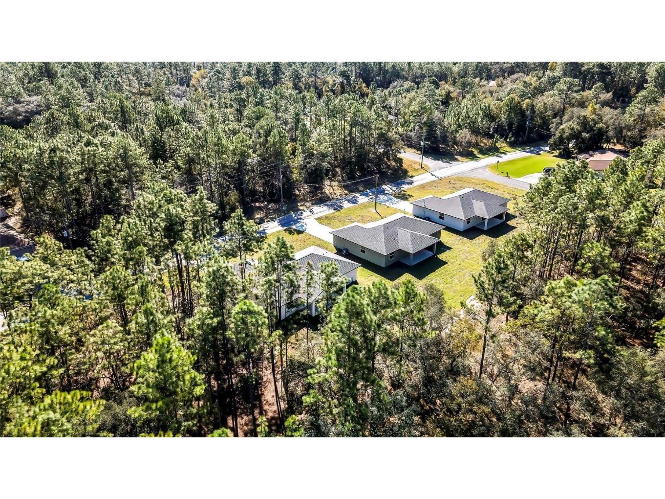 8118 N Santos Drive Citrus Springs FL 34434 TB8317153 image55