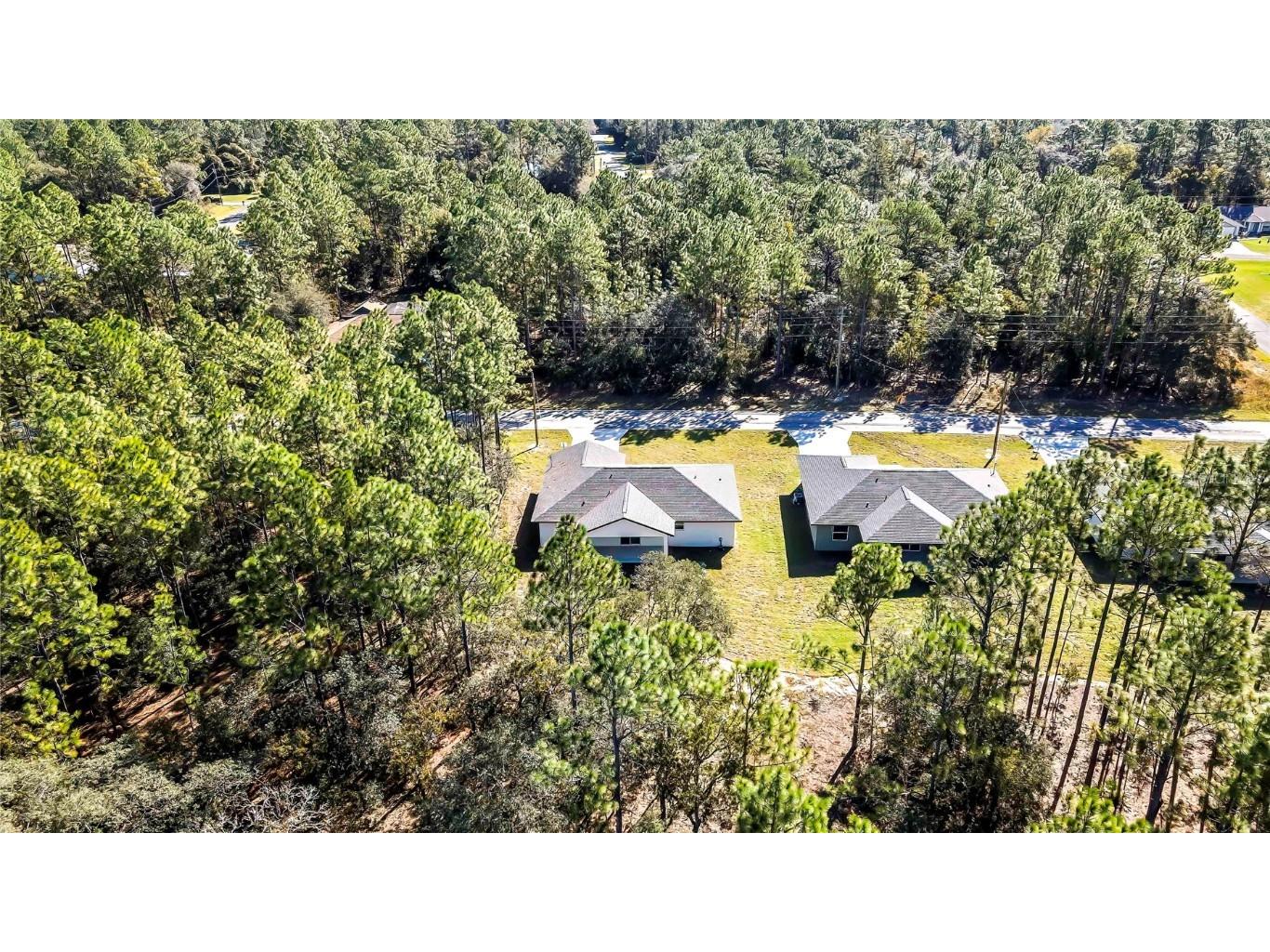 8118 N Santos Drive Citrus Springs FL 34434 TB8317153 image56