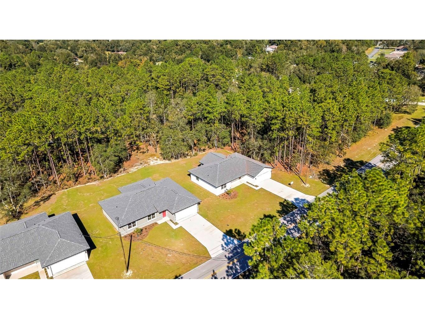 8118 N Santos Drive Citrus Springs FL 34434 TB8317153 image59