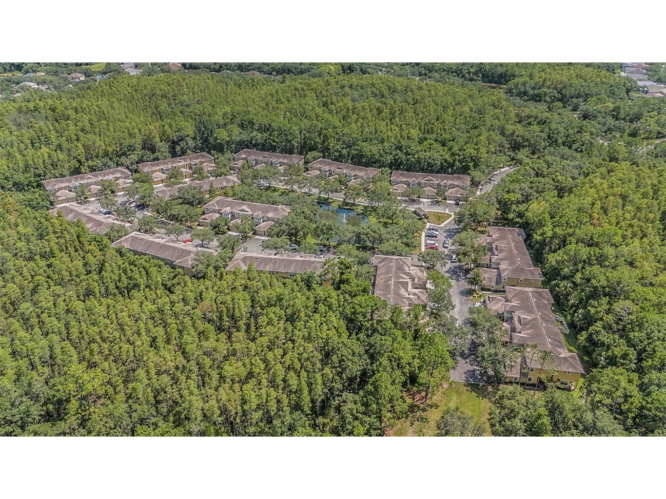 8118 Stone Path Way Tampa FL 33647 TB8406709 image42