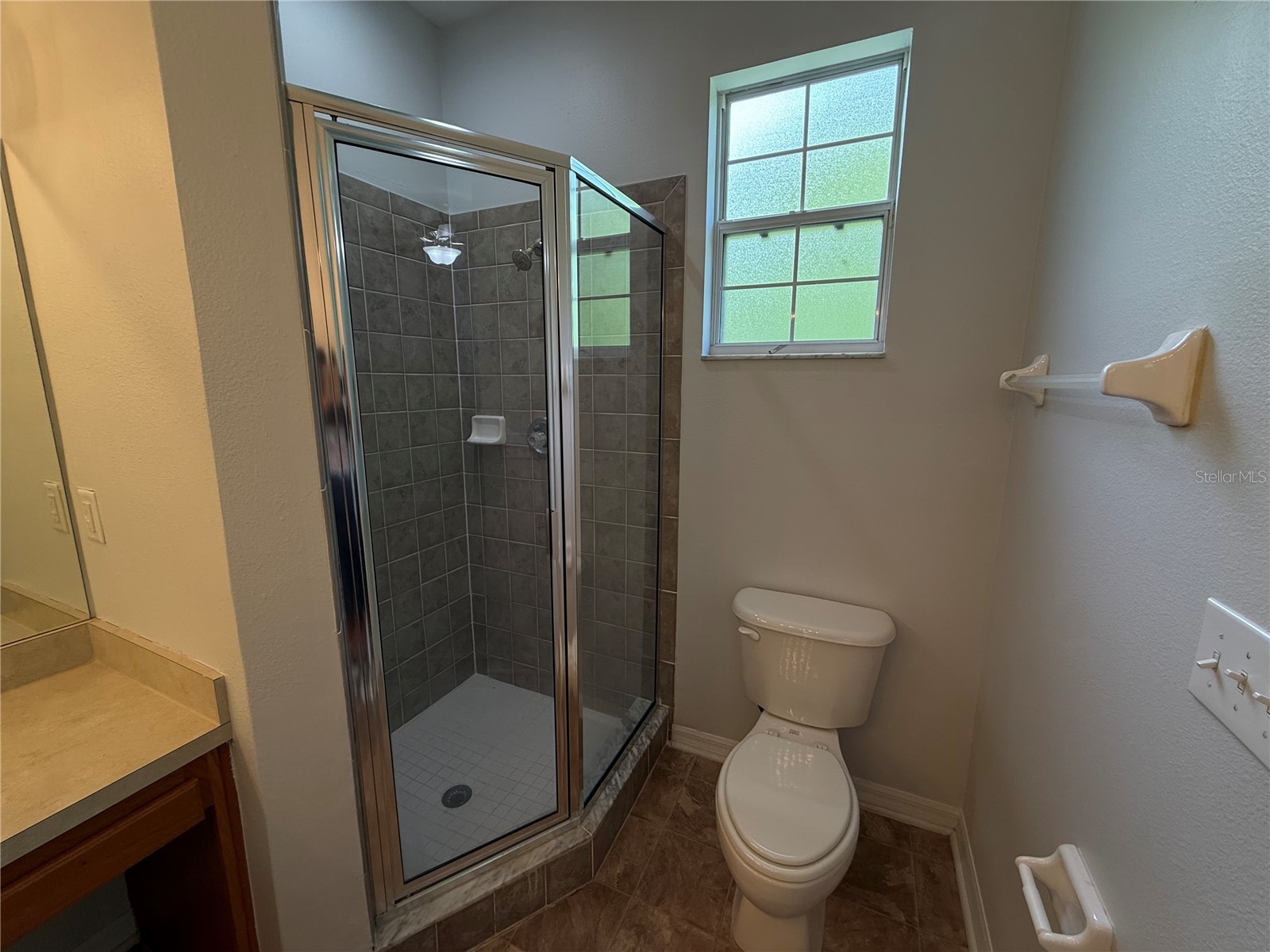 8118 Stone Path Way Tampa FL 33647 TB8499584 image24