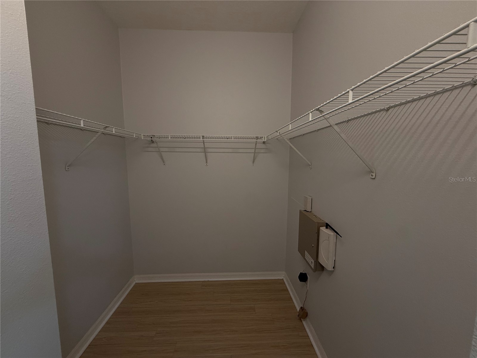 8118 Stone Path Way Tampa FL 33647 TB8499584 image25
