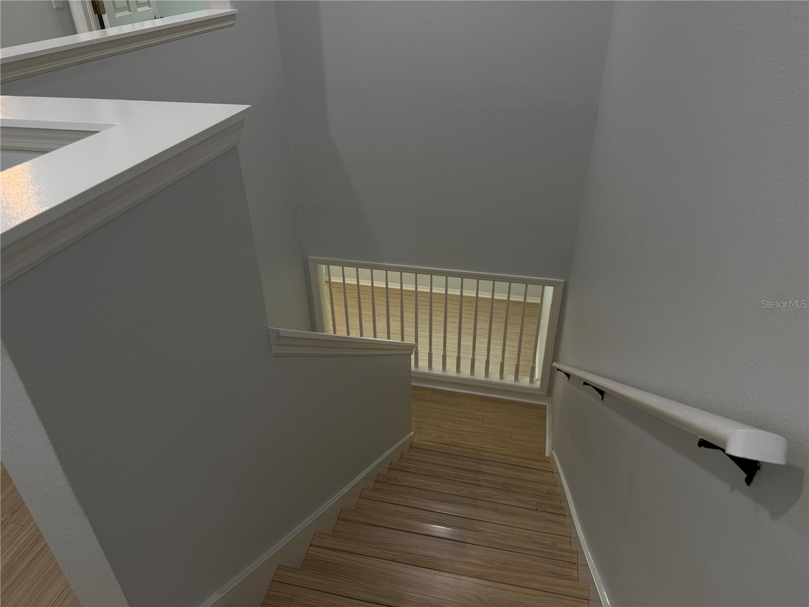 8118 Stone Path Way Tampa FL 33647 TB8499584 image32