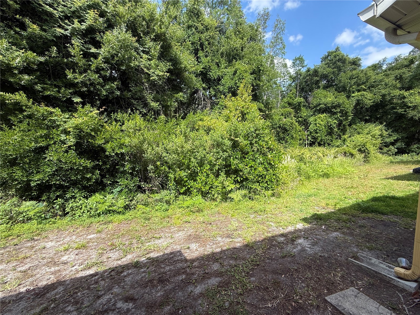 8118 Stone Path Way Tampa FL 33647 TB8499584 image40