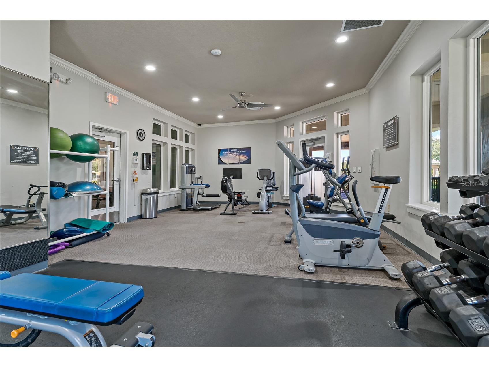 8118 Stone Path Way Tampa FL 33647 TB8499584 image52