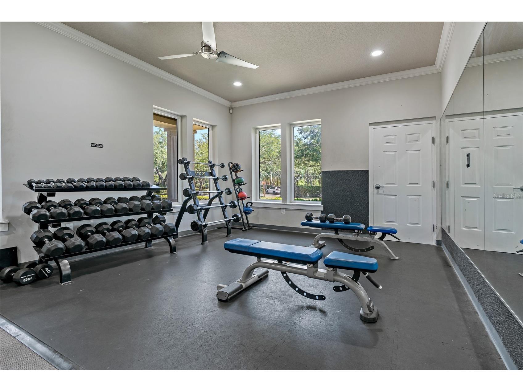 8118 Stone Path Way Tampa FL 33647 TB8499584 image53