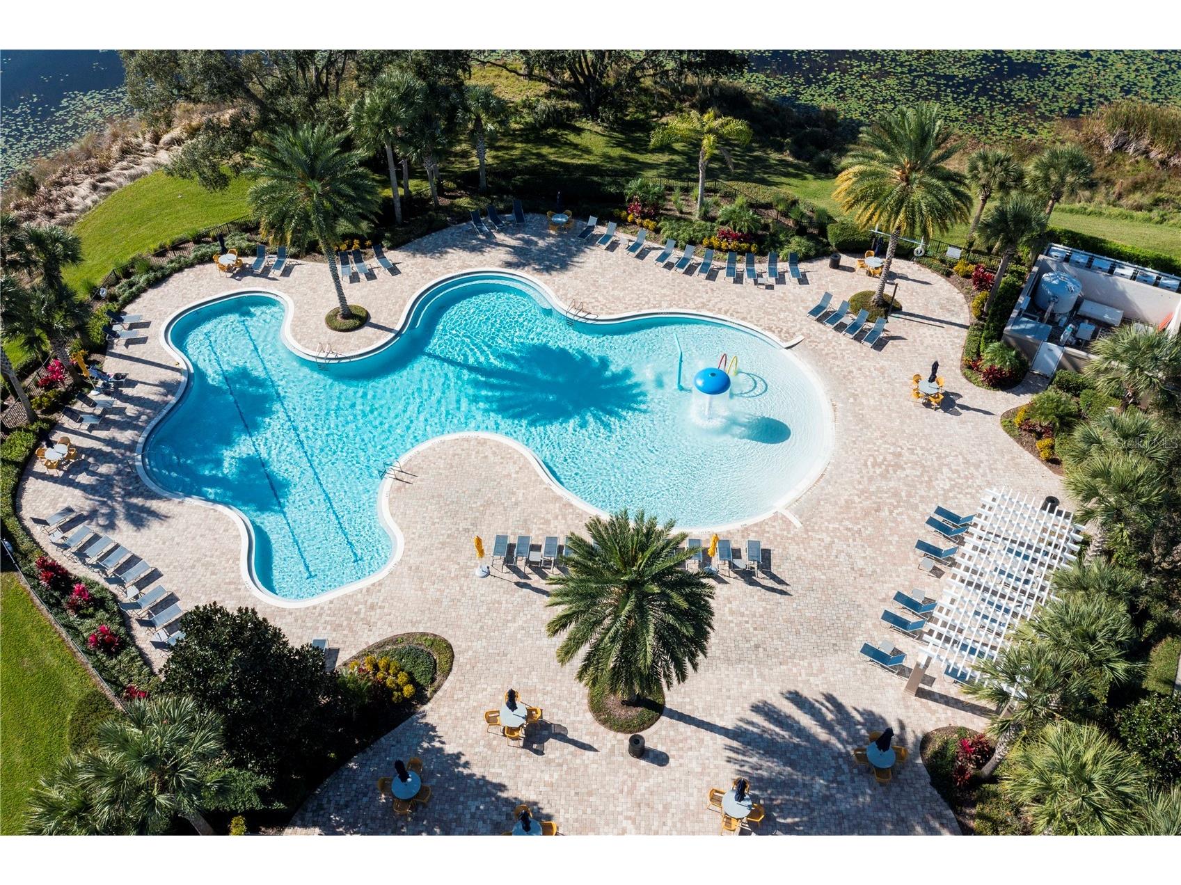 8118 Surf Bird Street Winter Garden FL 34787 O6352556 image32