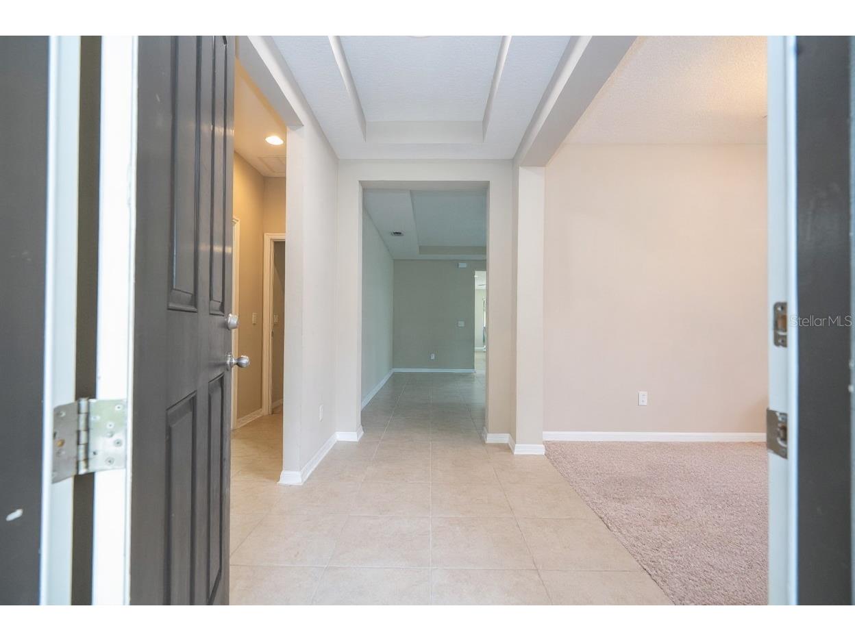 8118 Surf Bird Street Winter Garden FL 34787 O6352556 image4