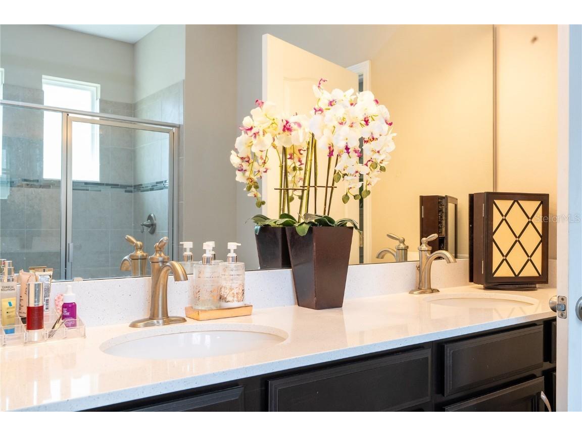 8118 Surf Bird Street Winter Garden FL 34787 O6352556 image47