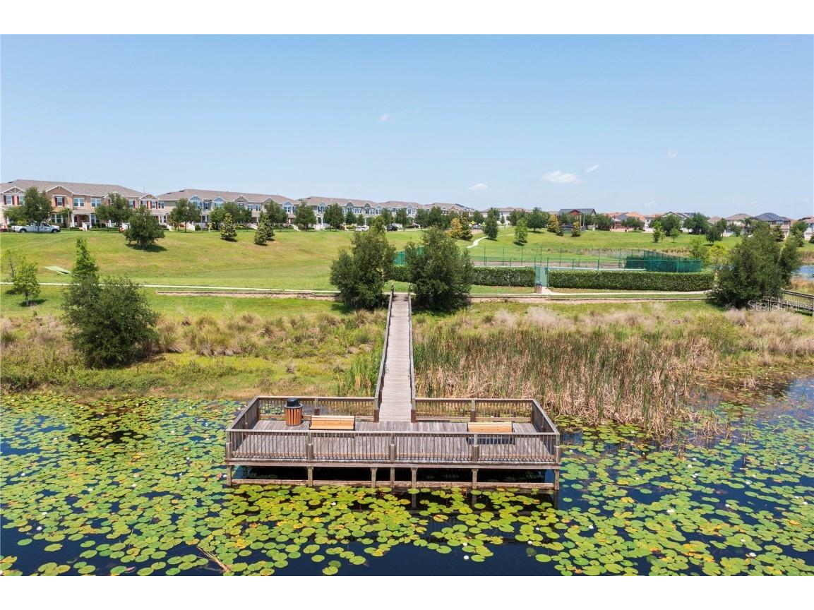 8118 Surf Bird Street Winter Garden FL 34787 O6352556 image55