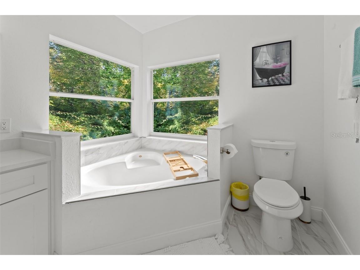 8118 Yellow Crane Drive Kissimmee FL 34747 O6366571 image22