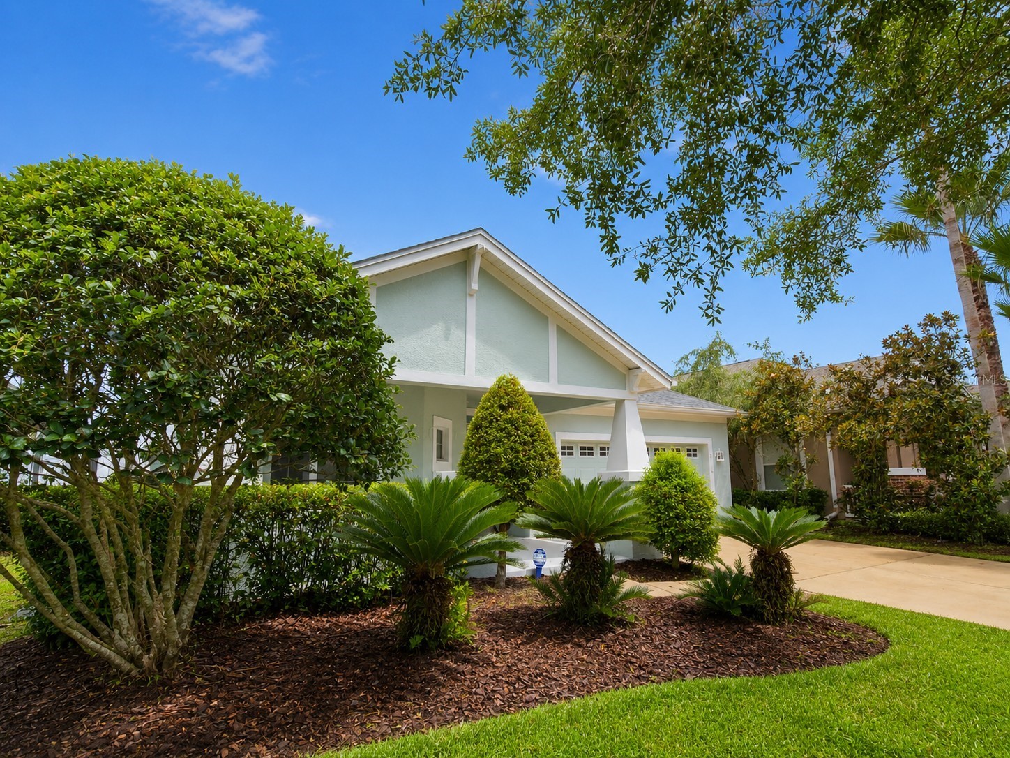 8119 Hampton Lake Drive Tampa FL 33647 TB8519142 image3