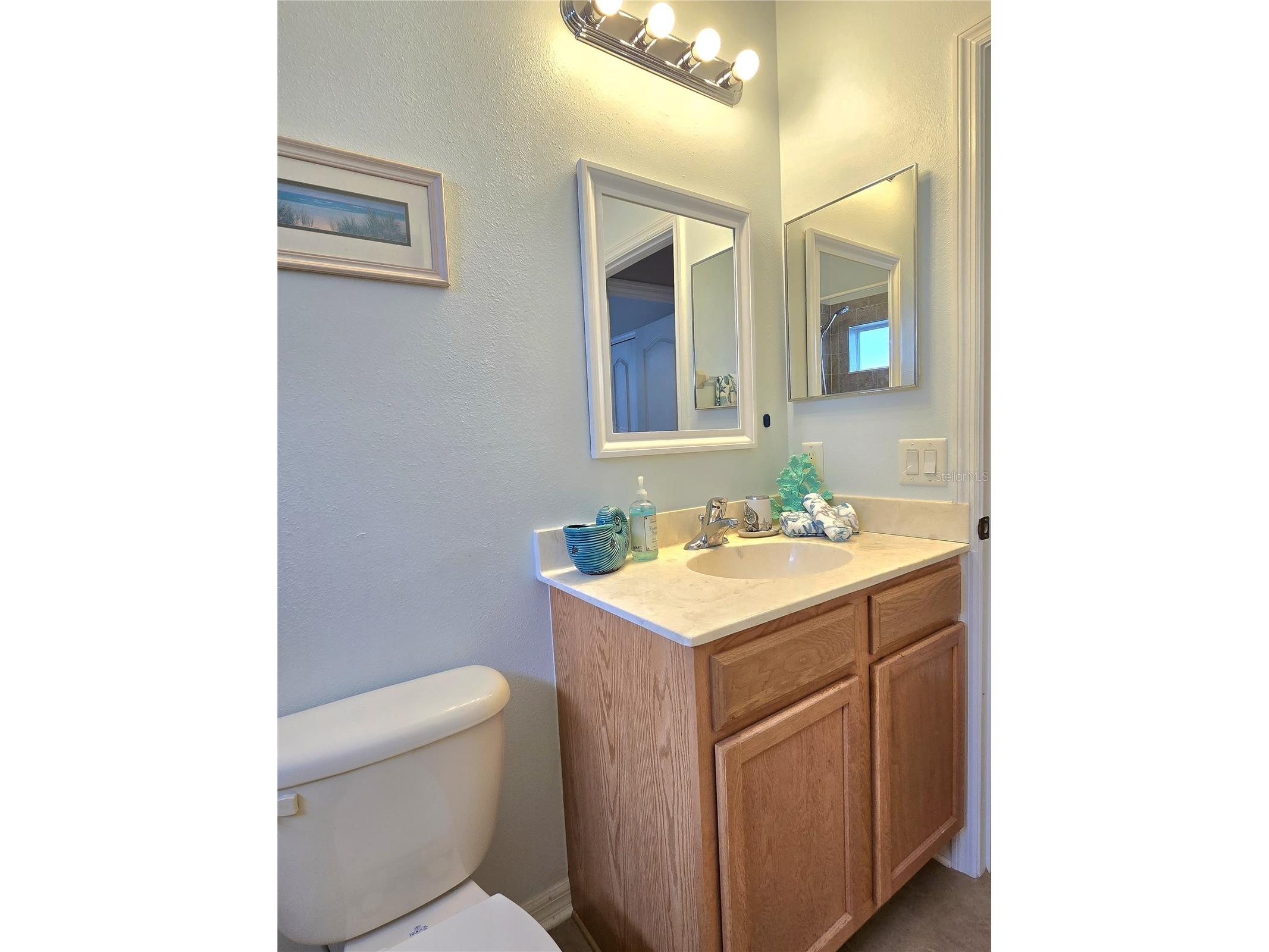 8119 Hampton Lake Drive Tampa FL 33647 TB8519142 image41