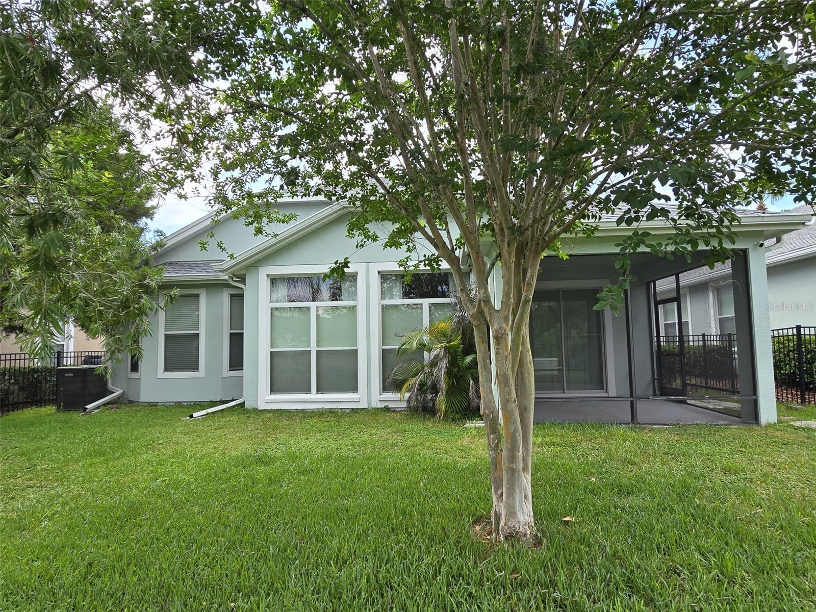 8119 Hampton Lake Drive Tampa FL 33647 TB8519142 image44