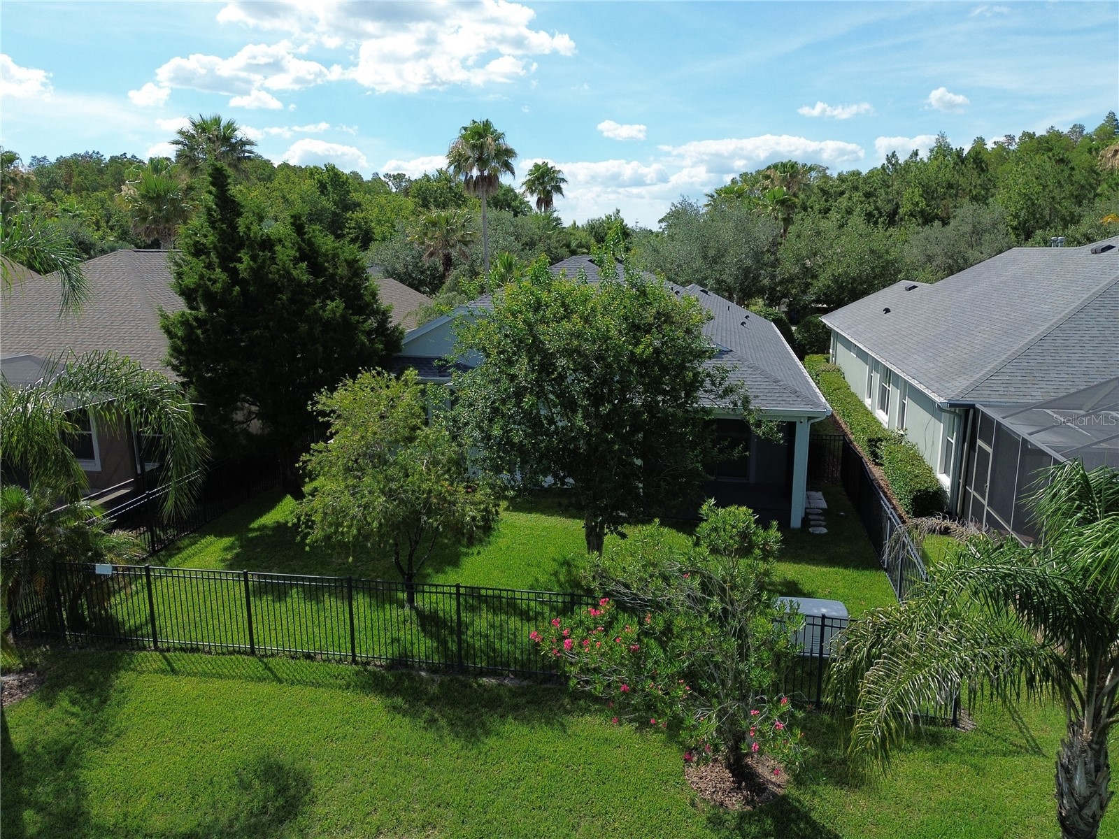 8119 Hampton Lake Drive Tampa FL 33647 TB8519142 image45