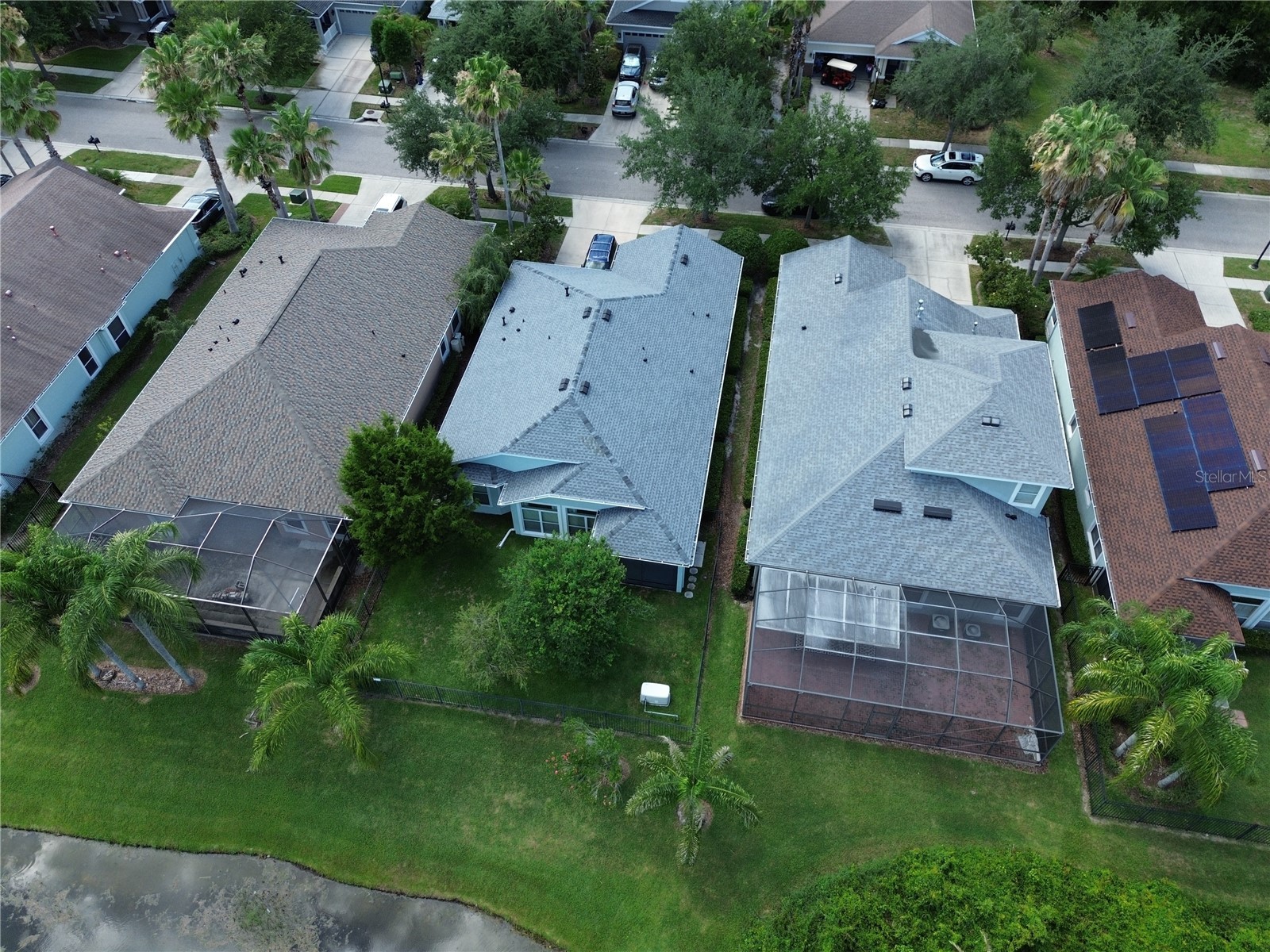 8119 Hampton Lake Drive Tampa FL 33647 TB8519142 image47