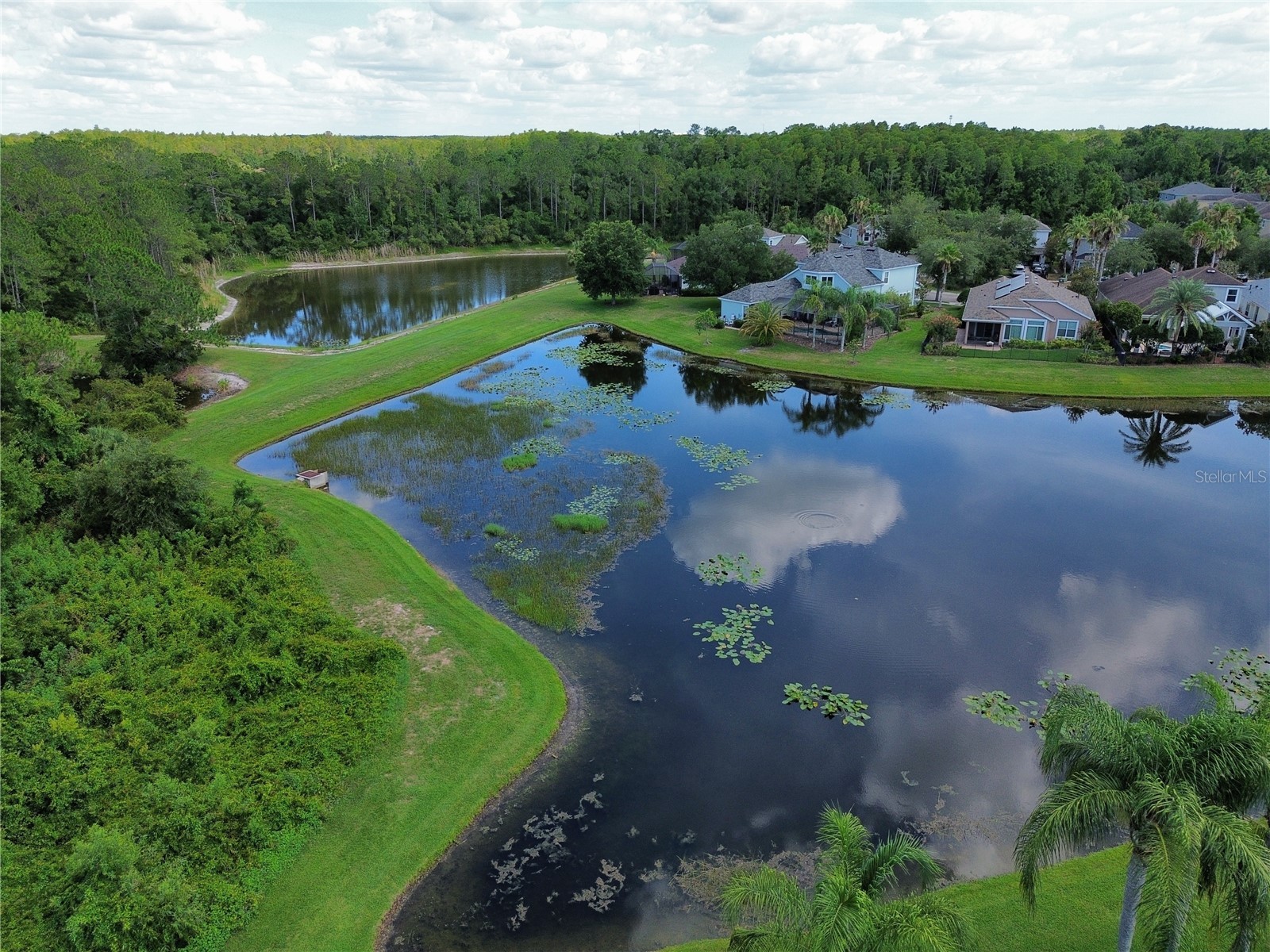 8119 Hampton Lake Drive Tampa FL 33647 TB8519142 image48