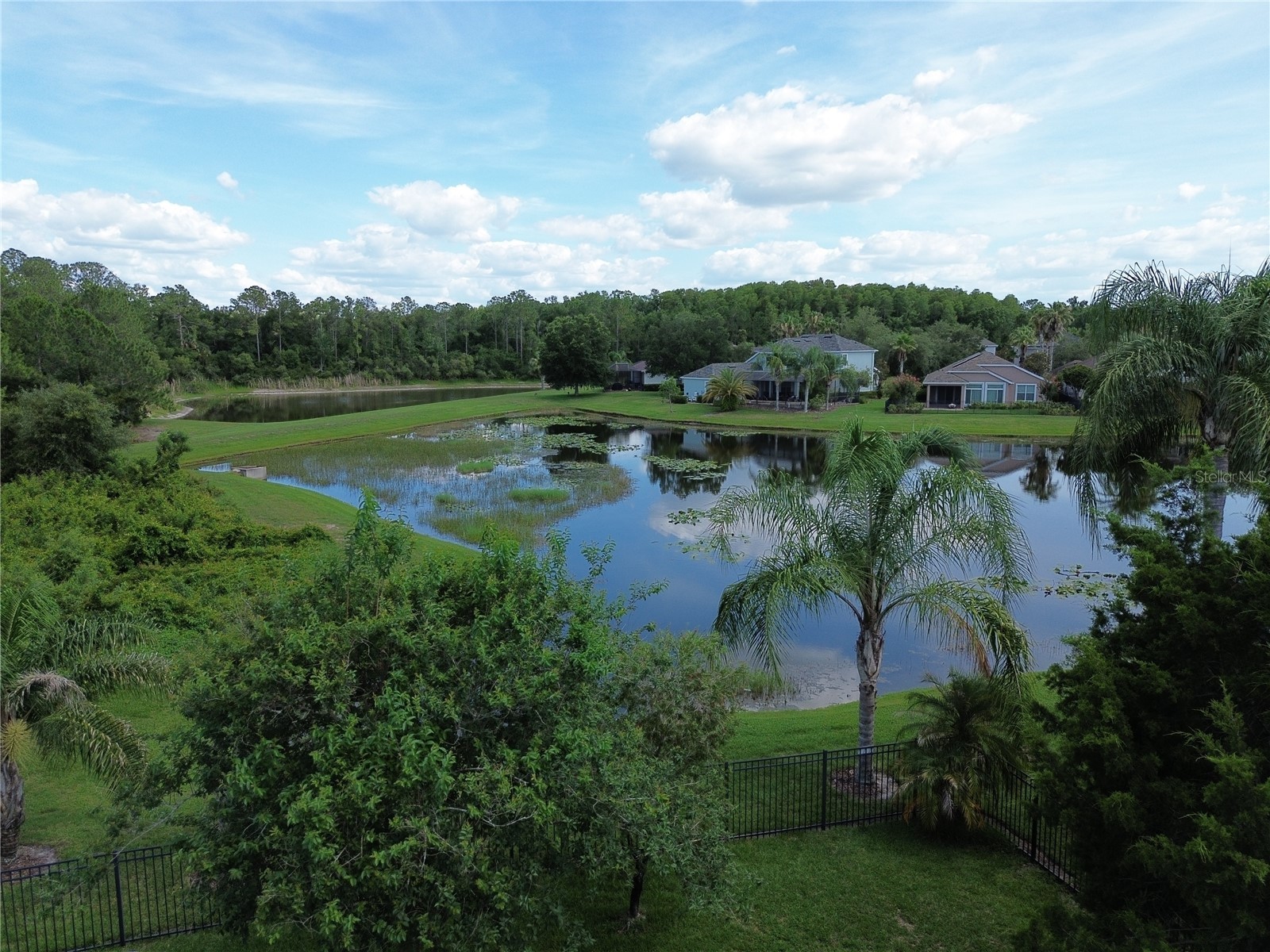8119 Hampton Lake Drive Tampa FL 33647 TB8519142 image49