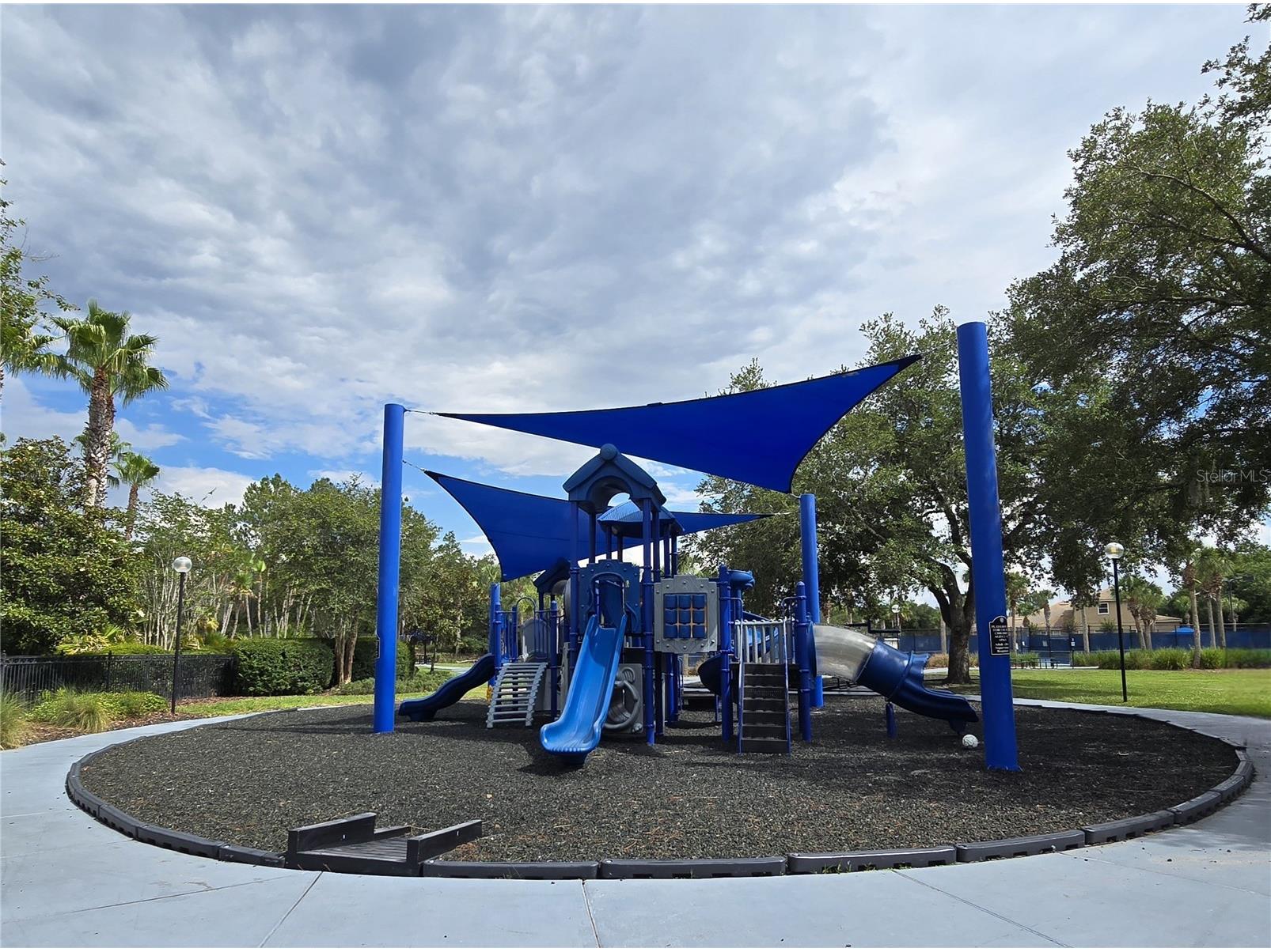 8119 Hampton Lake Drive Tampa FL 33647 TB8519142 image53