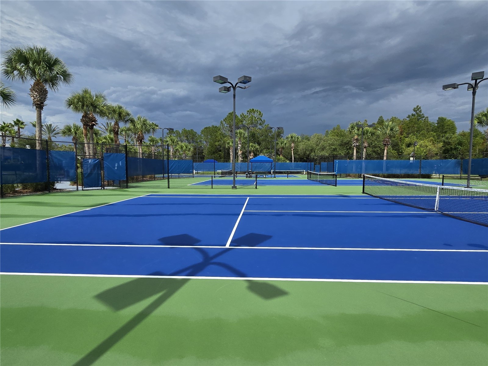 8119 Hampton Lake Drive Tampa FL 33647 TB8519142 image54