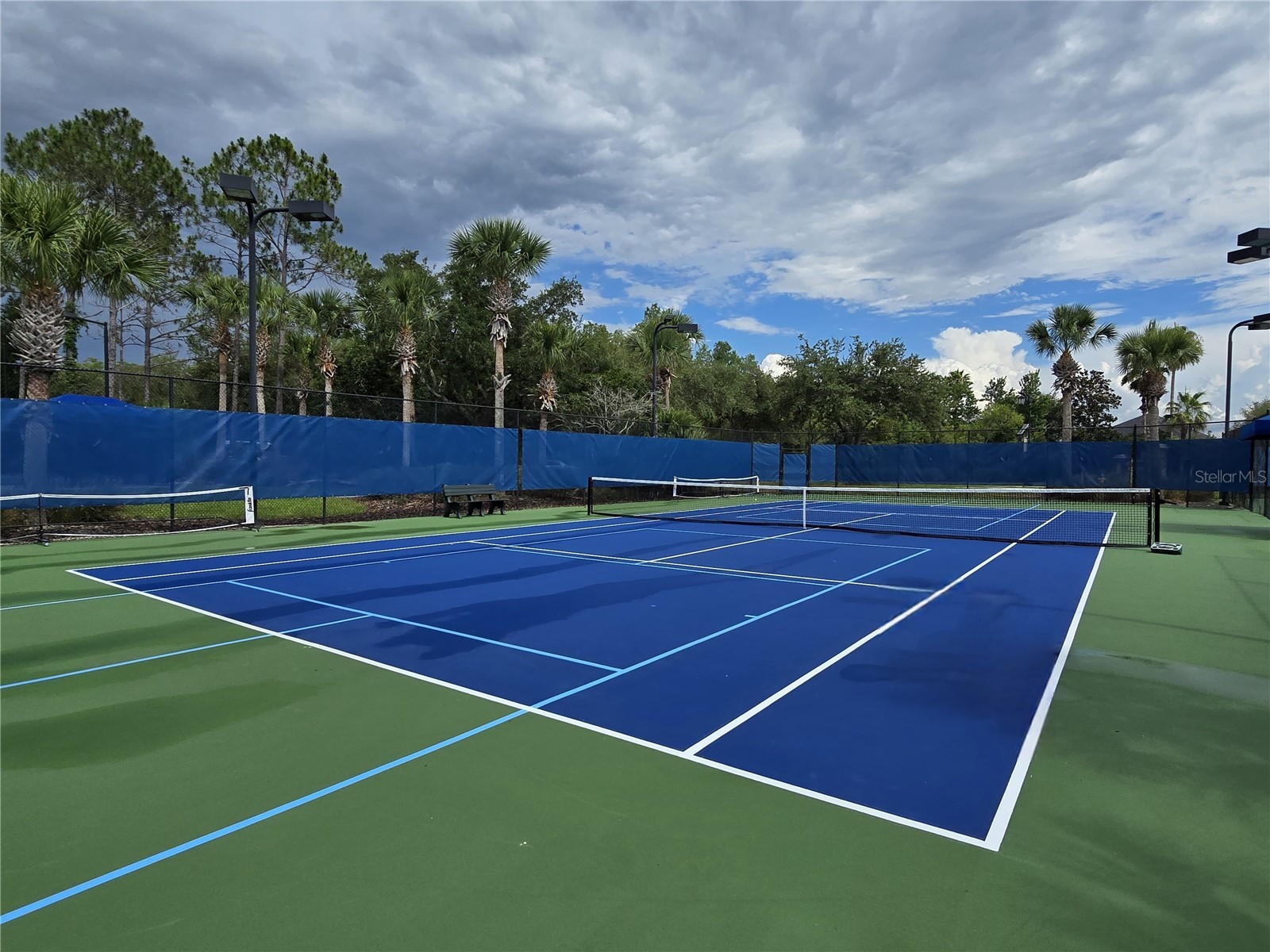 8119 Hampton Lake Drive Tampa FL 33647 TB8519142 image55