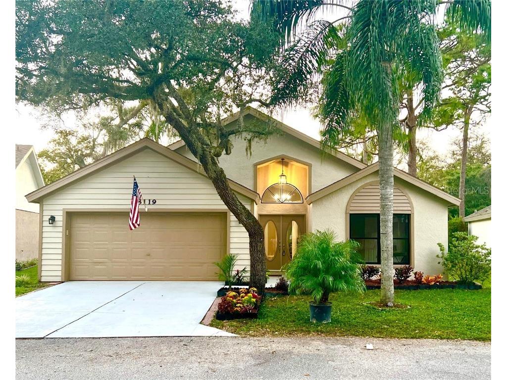 8119 Hathaway Drive New Port Richey FL 34654 U8221562 image1
