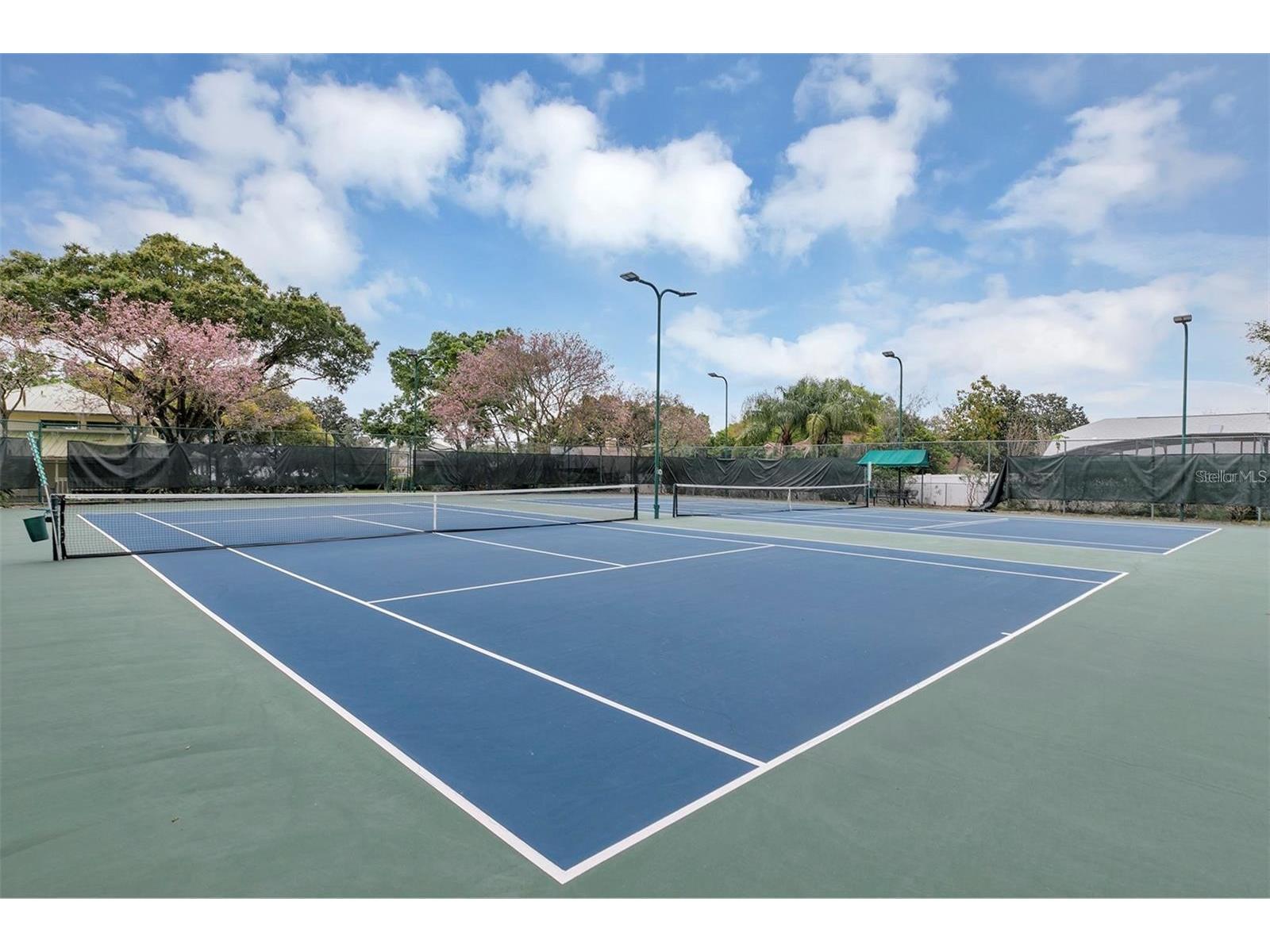 8119 Lake Crowell Circle Orlando FL 32836 O6388595 image41