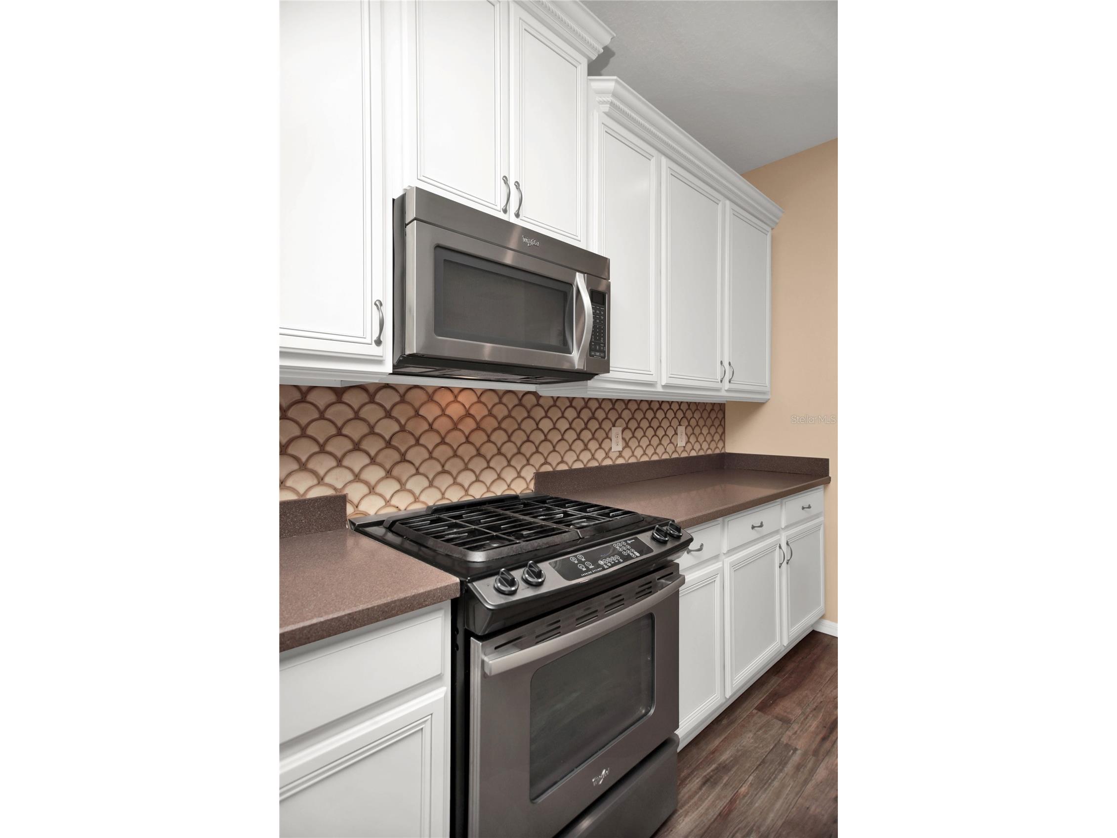 8119 Laughing Gull Street Winter Garden FL 34787 O6408656 image10