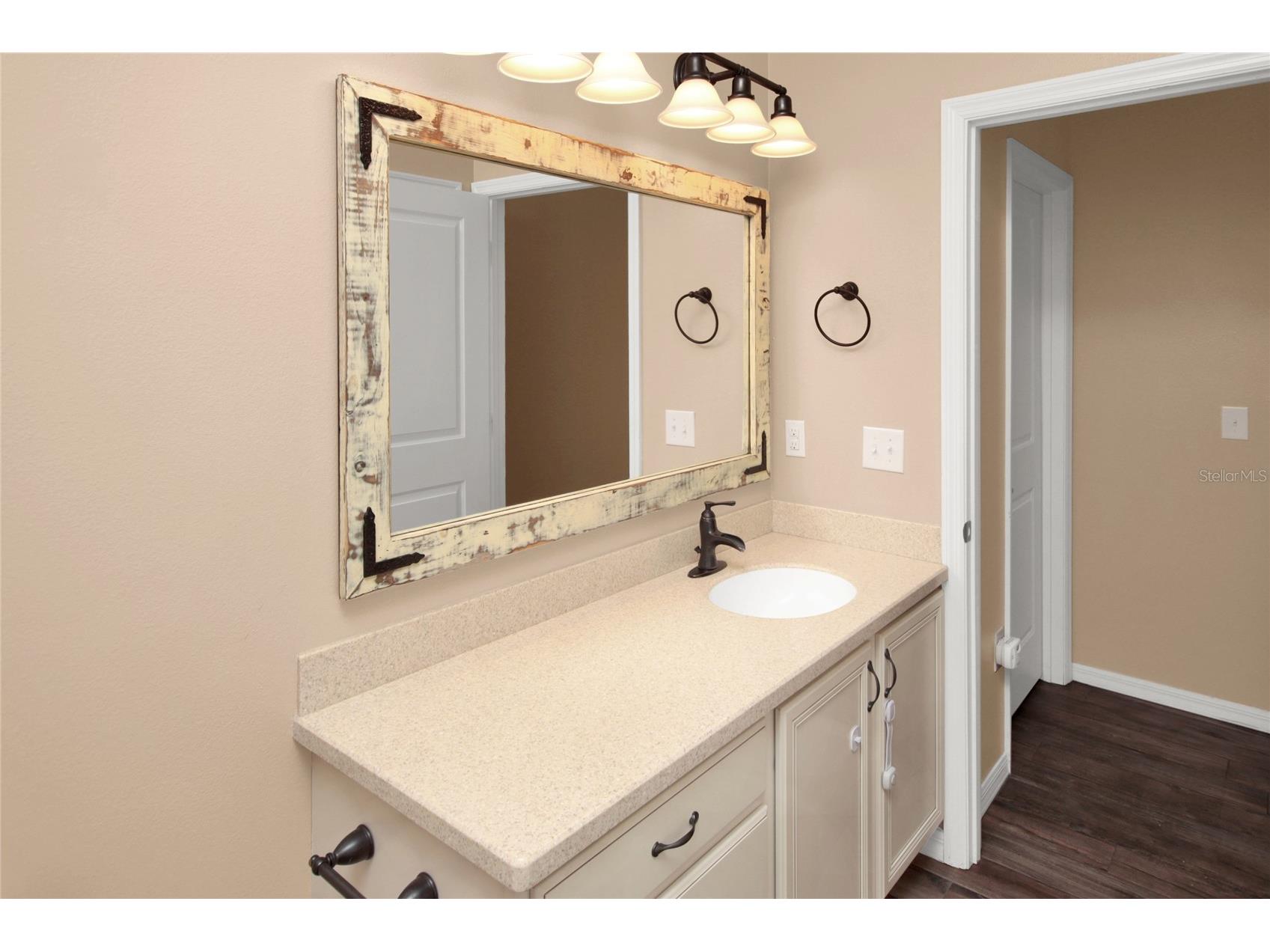8119 Laughing Gull Street Winter Garden FL 34787 O6408656 image34