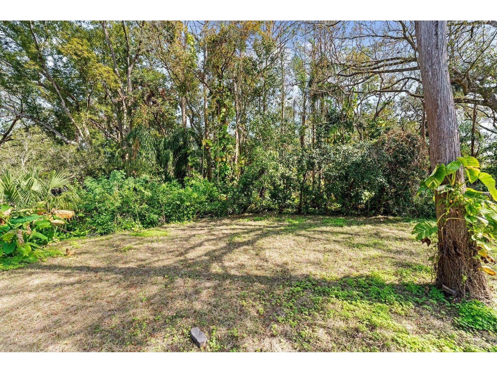 8119 N Dakota Tampa FL 33604 T3538279 image25