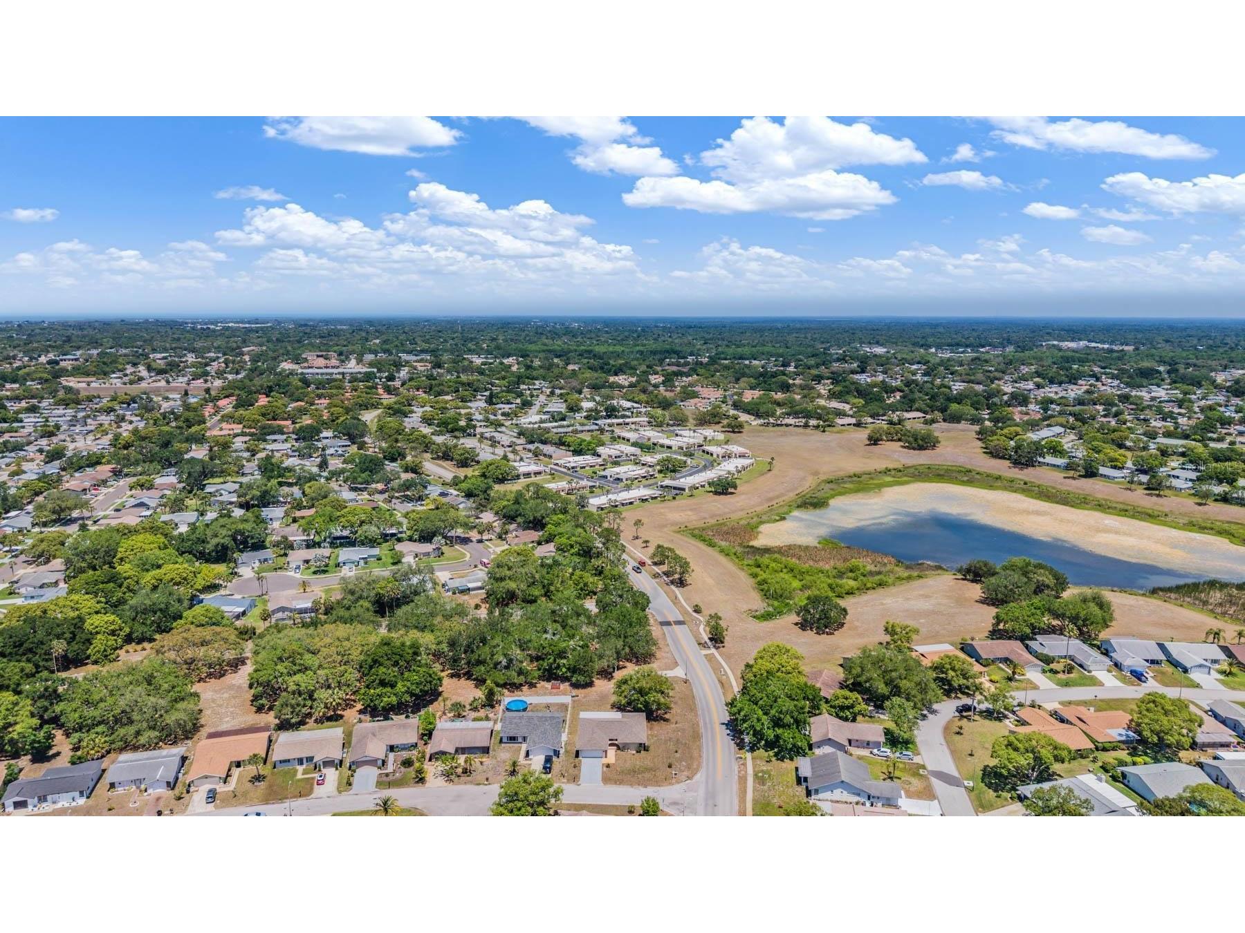 8119 San Bernardino Drive Port Richey FL 34668 TB8498192 image10