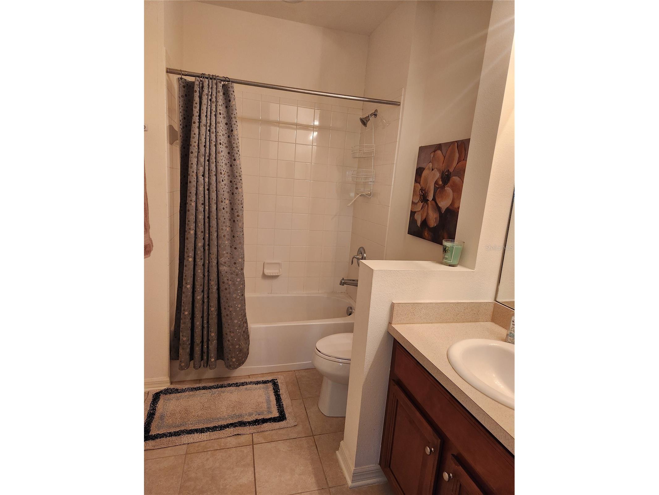 8119 Villa Grande Court Sarasota FL 34243 A4618040 image26