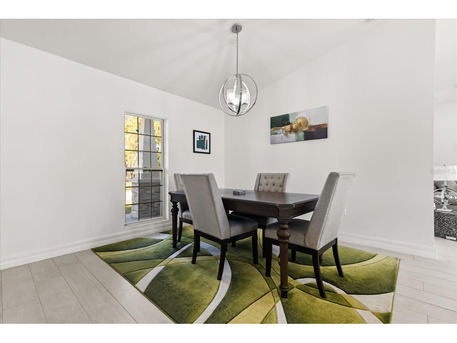 812 Chastain Road Seffner FL 33584 TB8467470 image8