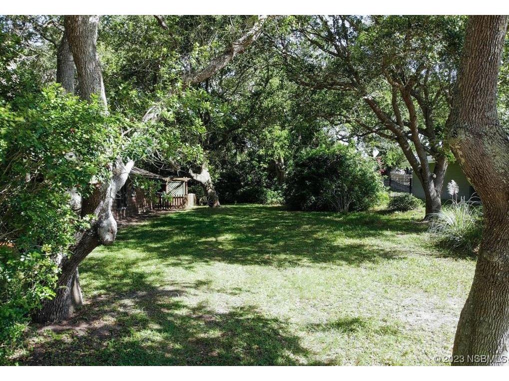 812 E 20th Avenue New Smyrna Beach FL 32169 NS1074876 image1