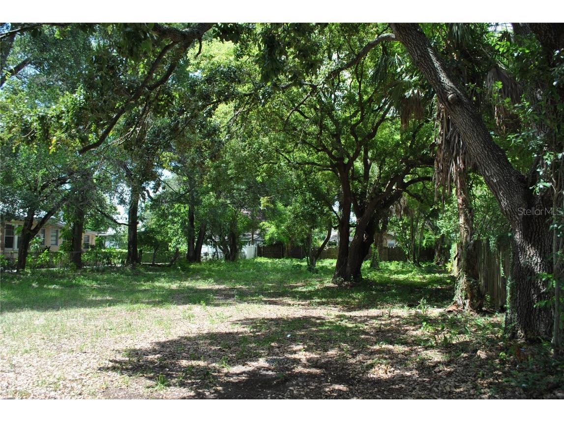 812 E Emma Street Tampa FL 33603 TB8418296 image6