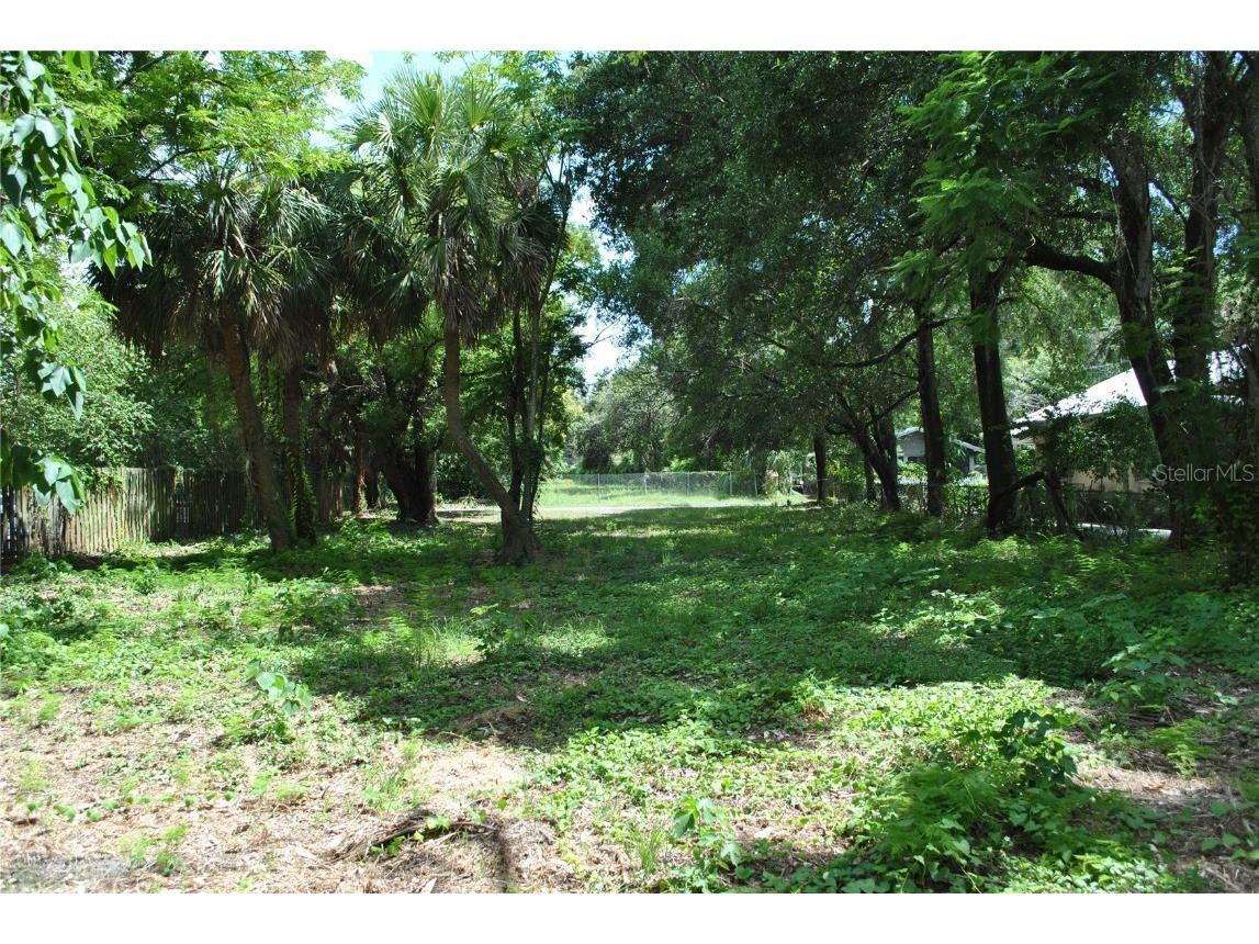 812 E Emma Street Tampa FL 33603 TB8418296 image7