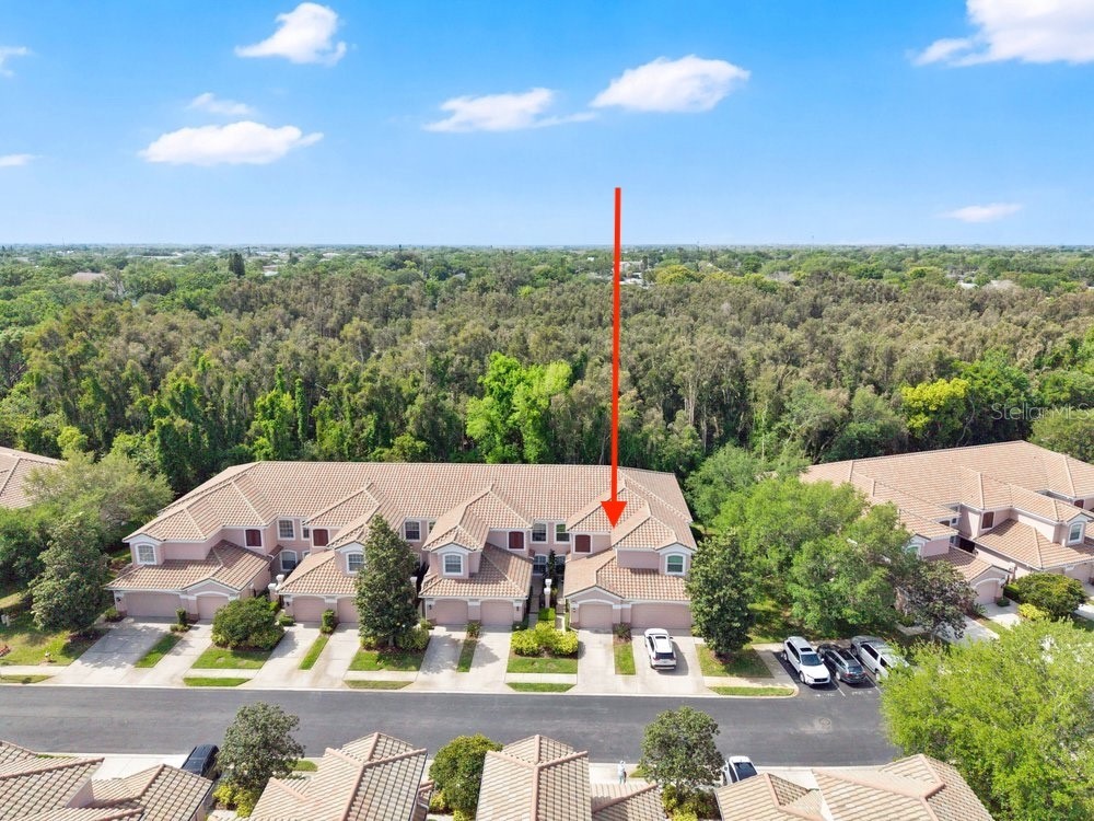 812 Lantern Way #104 Clearwater FL 33765 TB8508850 image1